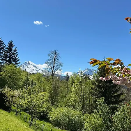 Zeitlos Mit Bergblick 아파트 *