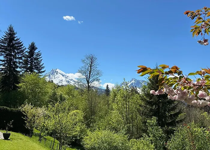 Zeitlos Mit Bergblick Appartement *